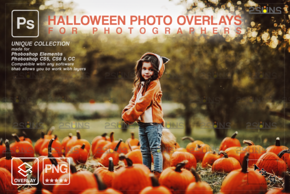 Download Halloween Overlay &amp; Halloween Digital - Halloween digital Collection
